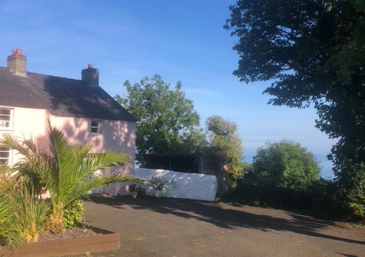 The Pink Cottage Upstairs Suite & Garden Summer Room Whitehead 外观 照片