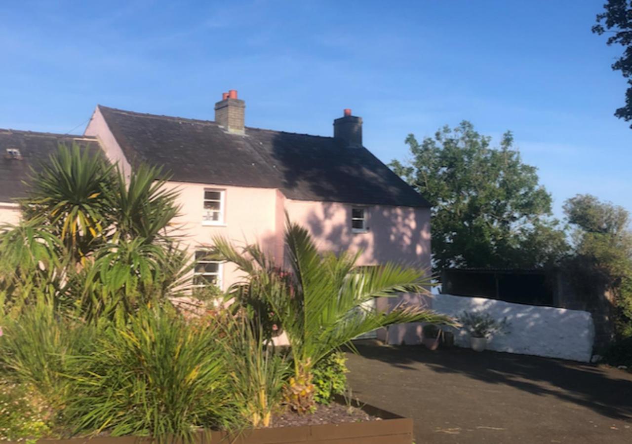 The Pink Cottage Upstairs Suite & Garden Summer Room Whitehead 外观 照片