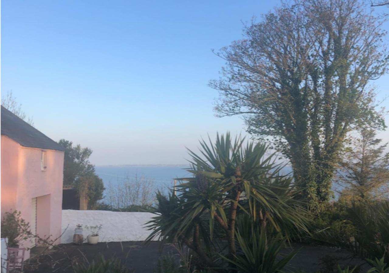 The Pink Cottage Upstairs Suite & Garden Summer Room Whitehead 外观 照片