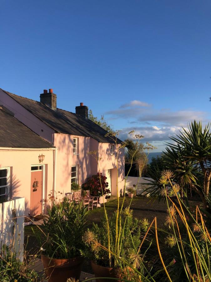 The Pink Cottage Upstairs Suite & Garden Summer Room Whitehead 外观 照片