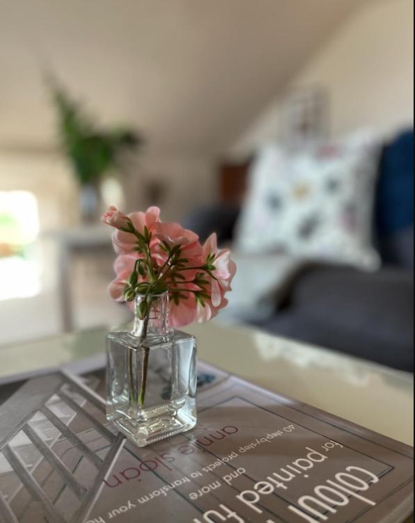 The Pink Cottage Upstairs Suite & Garden Summer Room Whitehead 外观 照片