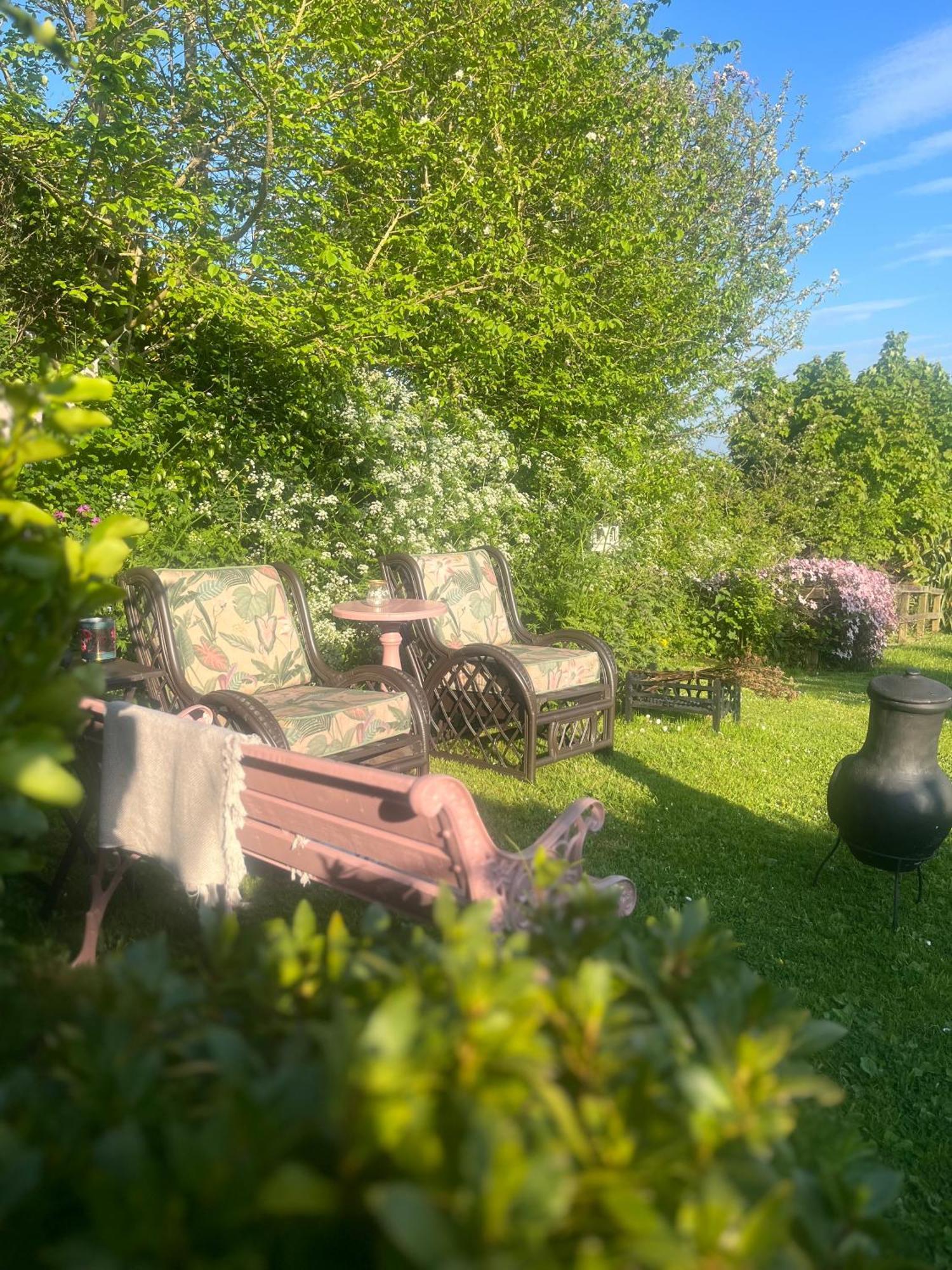 The Pink Cottage Upstairs Suite & Garden Summer Room Whitehead 外观 照片