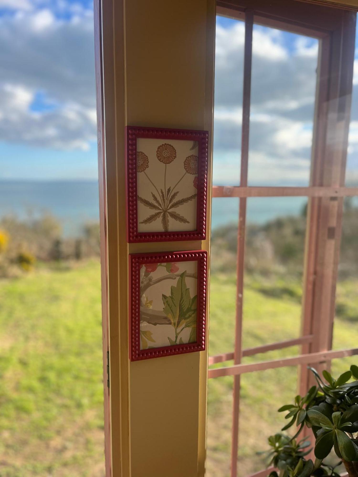 The Pink Cottage Upstairs Suite & Garden Summer Room Whitehead 外观 照片