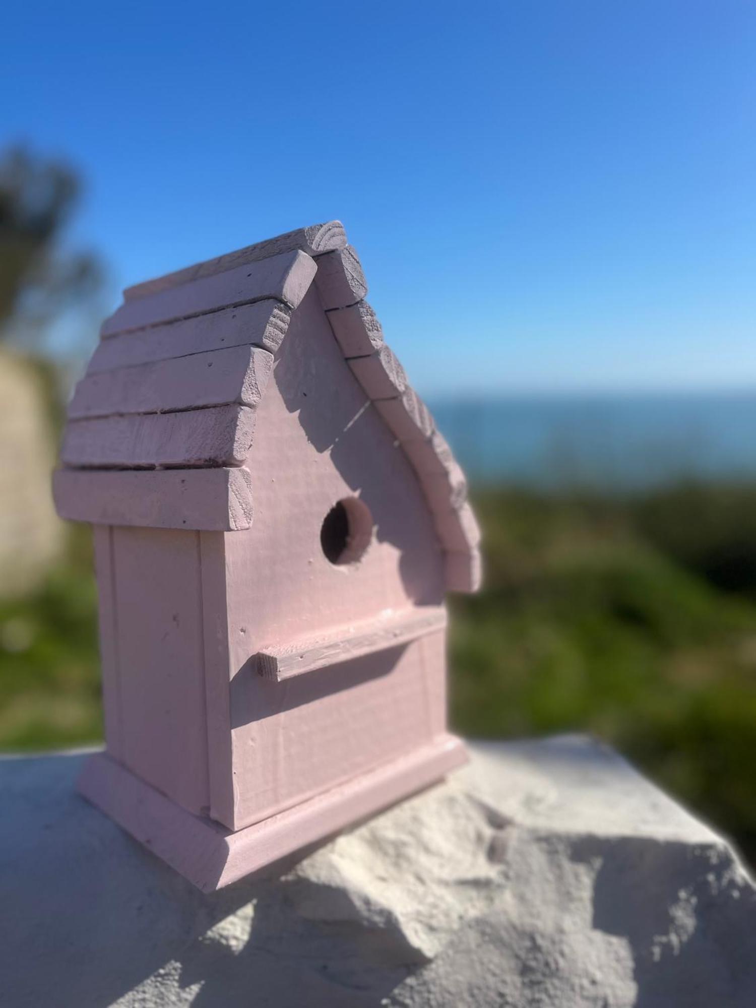 The Pink Cottage Upstairs Suite & Garden Summer Room Whitehead 外观 照片